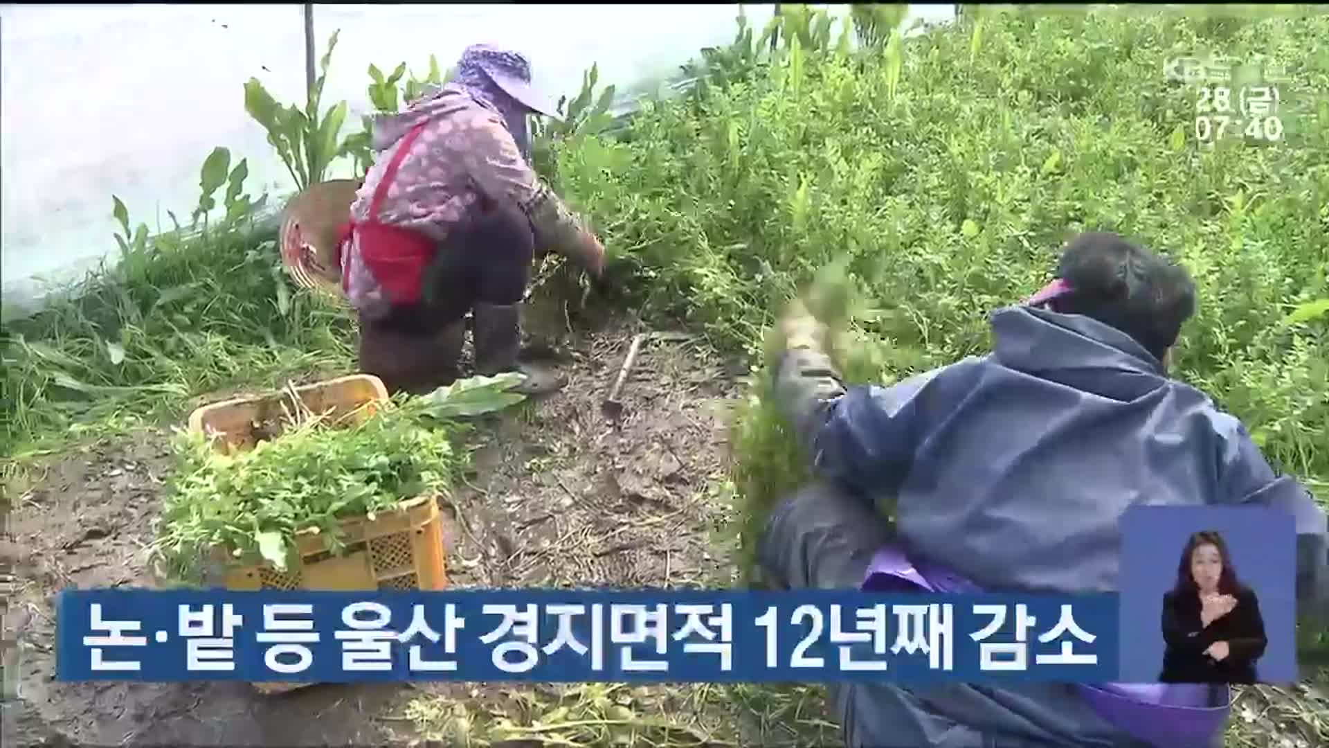 논·밭 등 울산 경지면적 12년째 감소