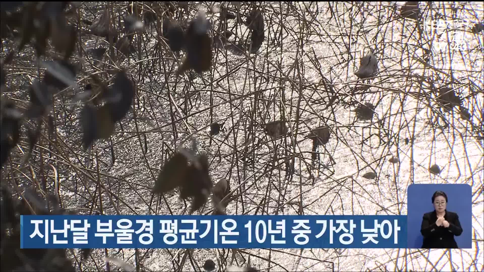 지난달 부울경 평균기온 10년 중 가장 낮아