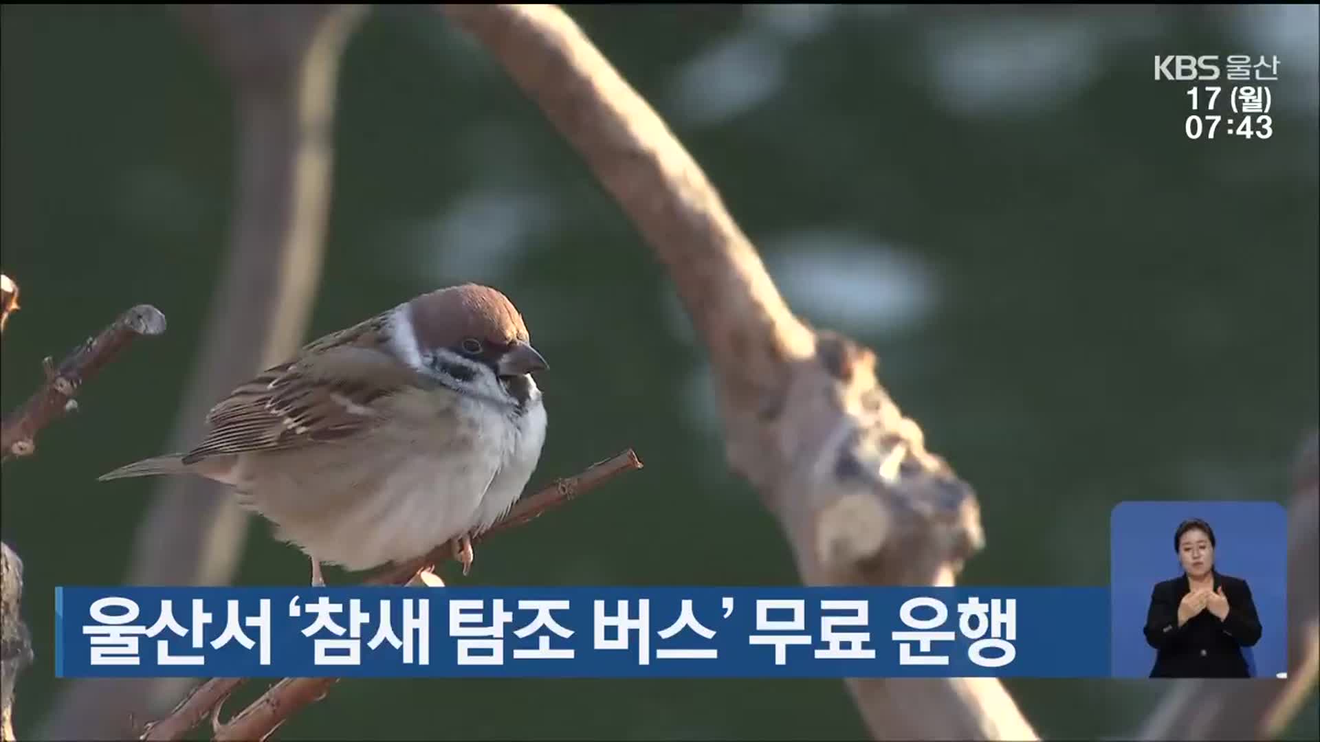 울산서 ‘참새 탐조 버스’ 무료 운행