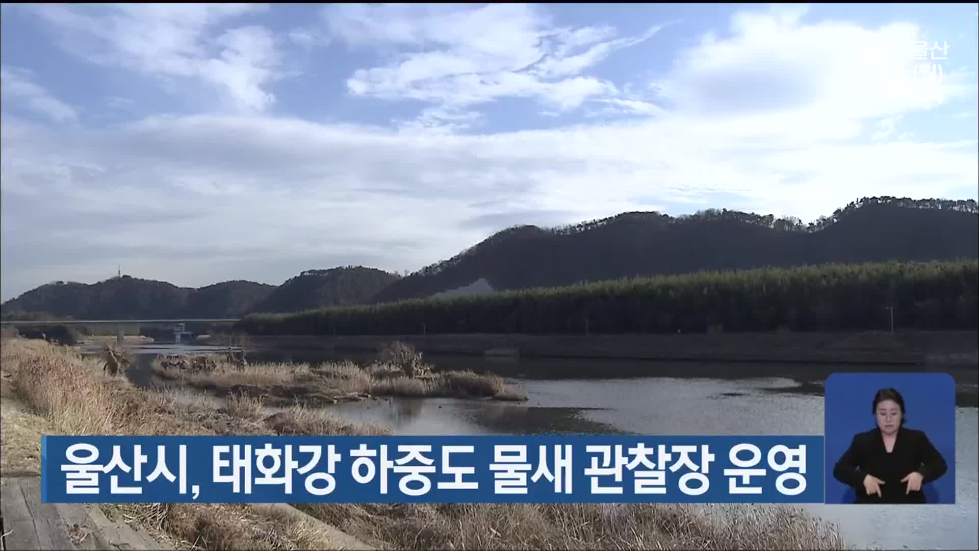 울산시, 태화강 하중도 물새 관찰장 운영
