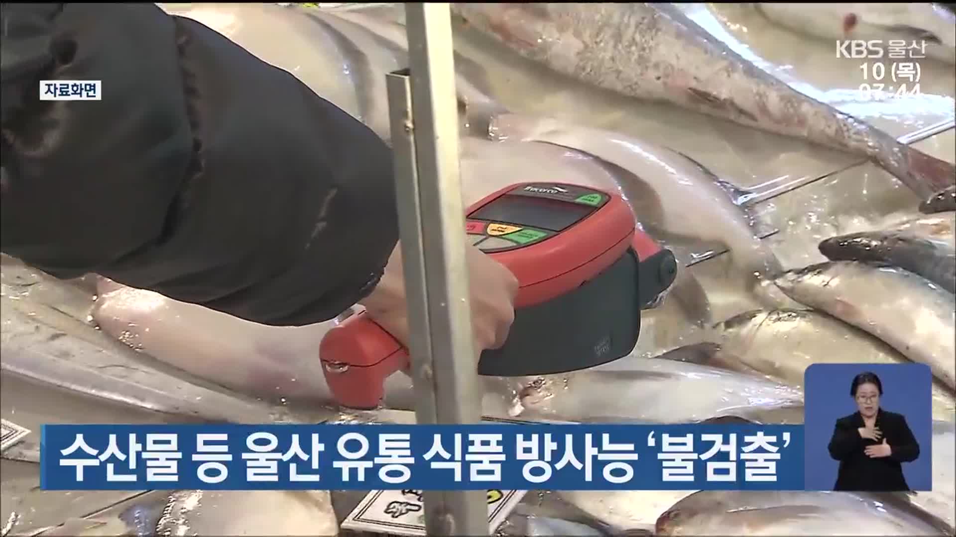 수산물 등 울산 유통 식품 방사능 ‘불검출’