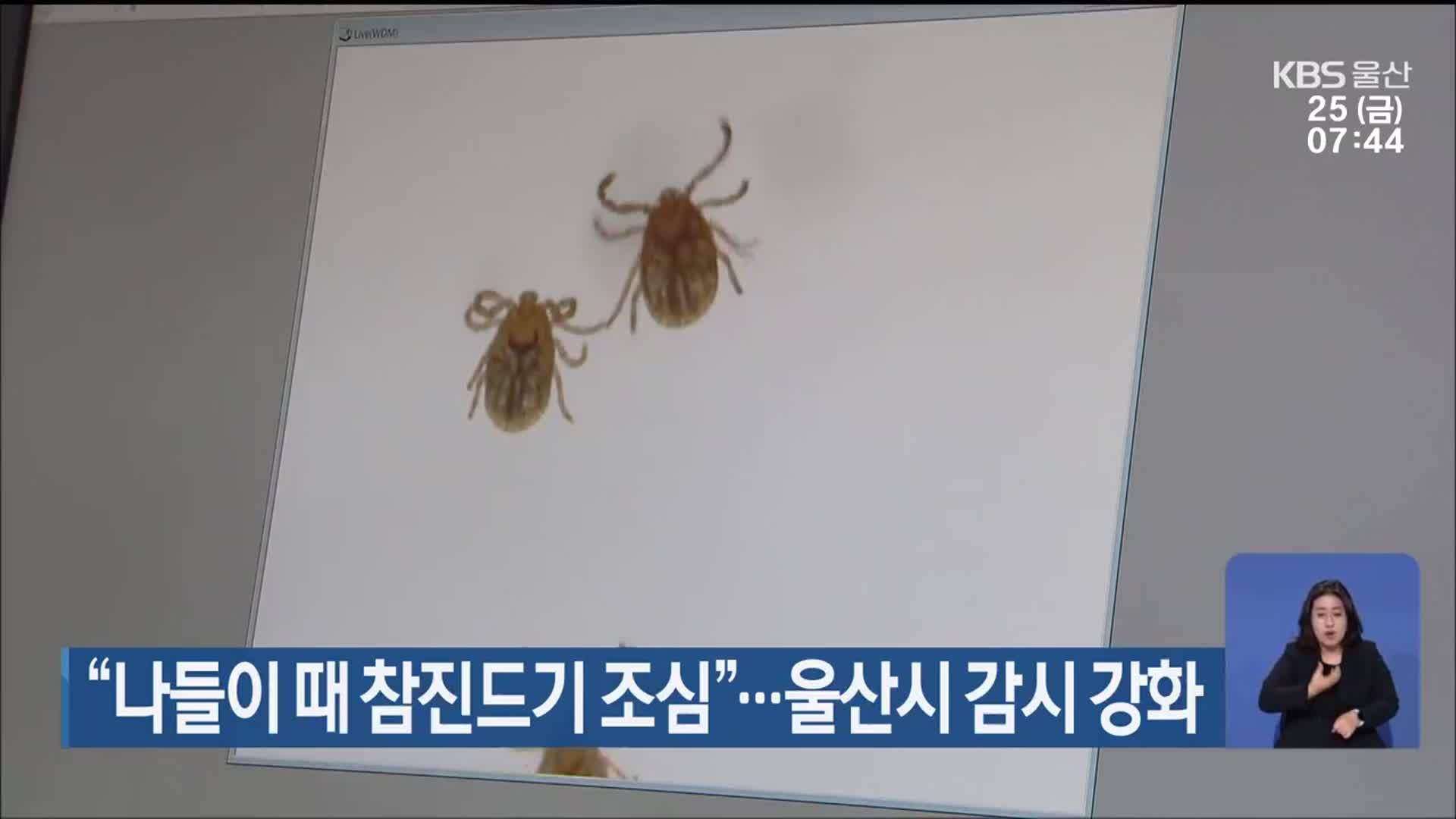 “나들이 때 참진드기 조심”…울산시 감시 강화