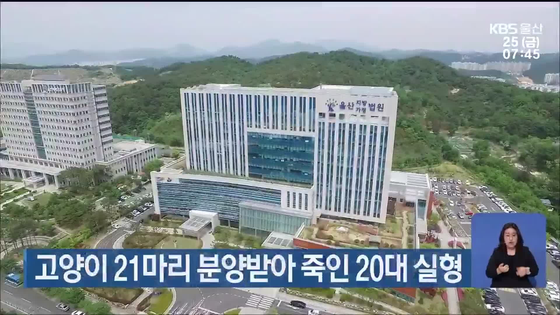고양이 21마리 분양받아 죽인 20대 실형
