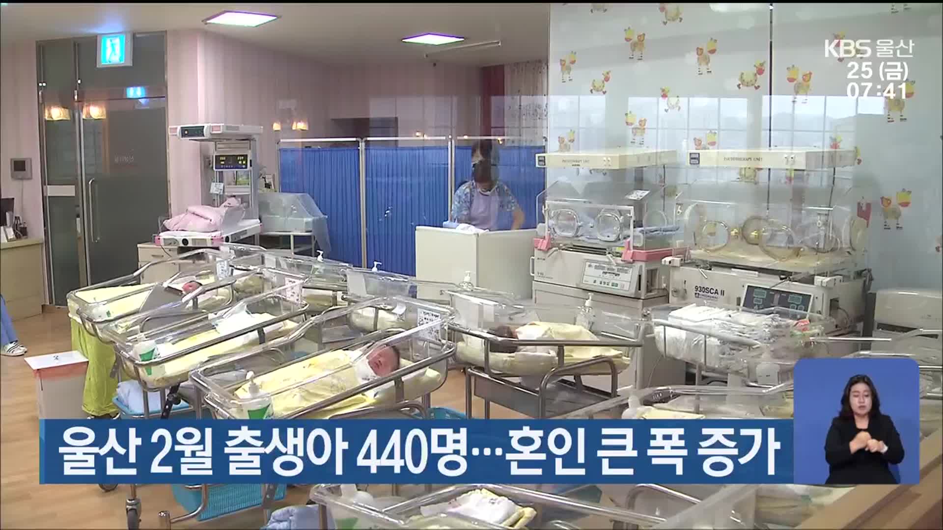 울산 2월 출생아 440명…혼인 큰 폭 증가