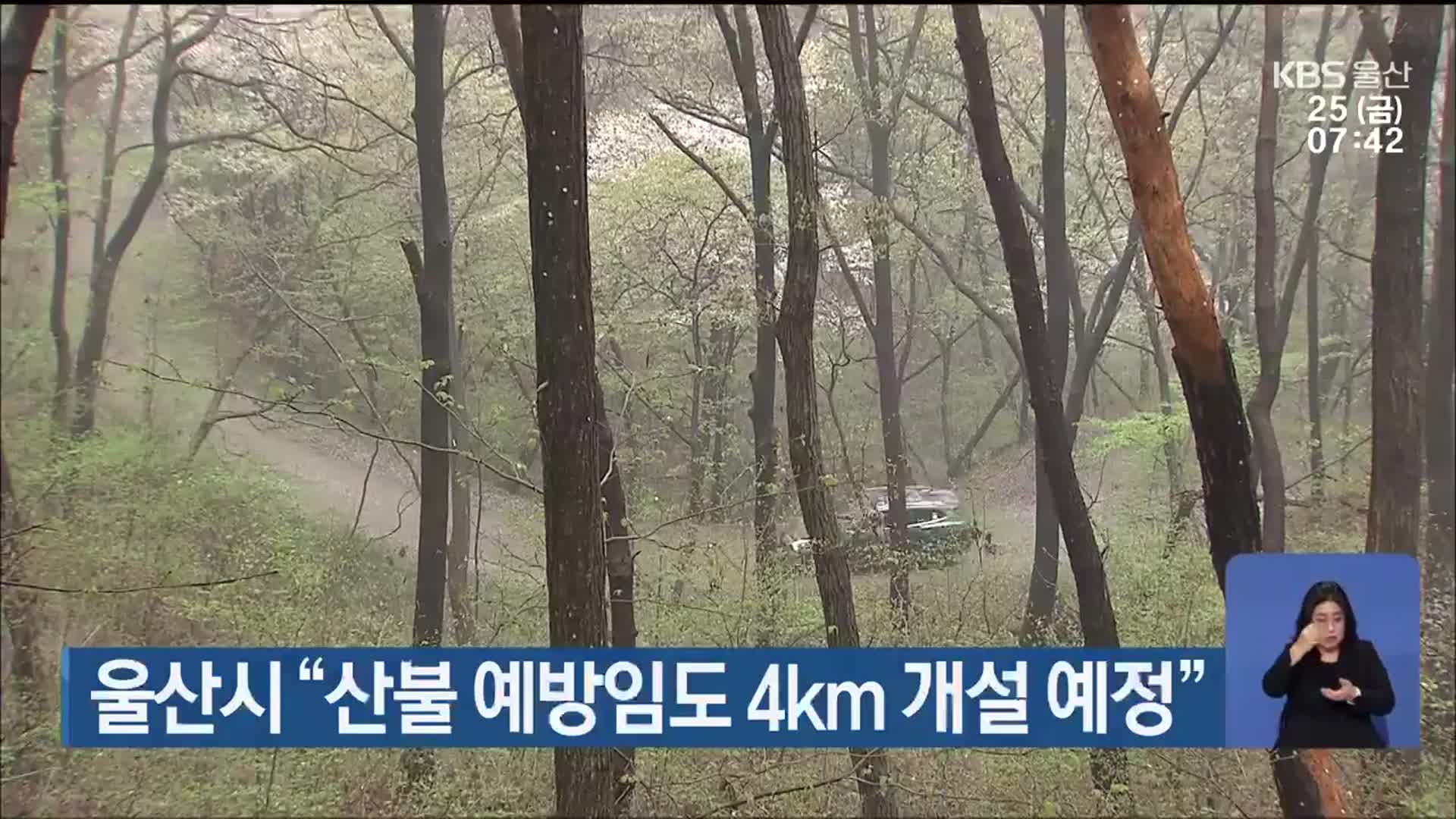 울산시 “산불 예방임도 4km 개설 예정”
