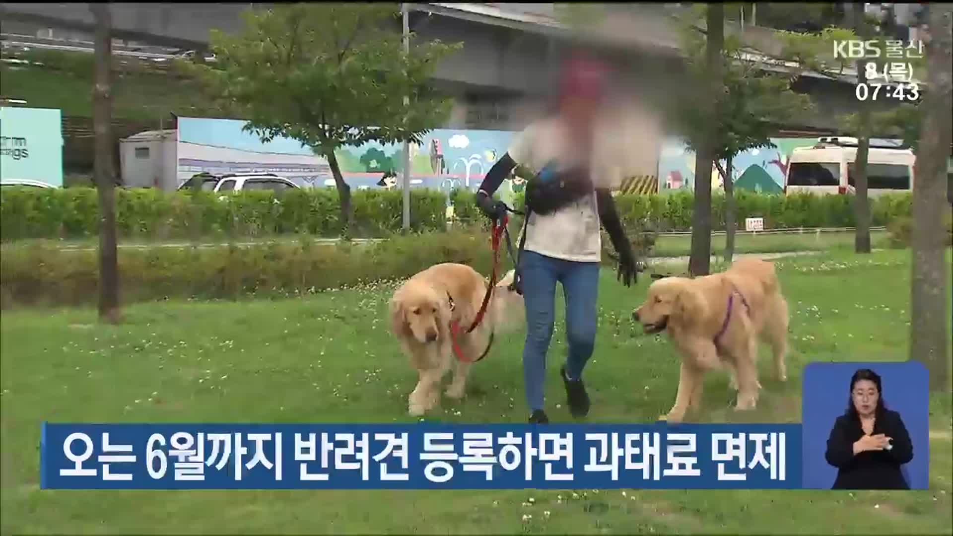 오는 6월까지 반려견 등록하면 과태료 면제