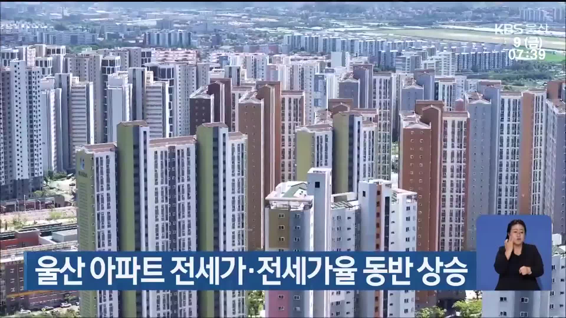 울산 아파트 전세가·전세가율 동반 상승