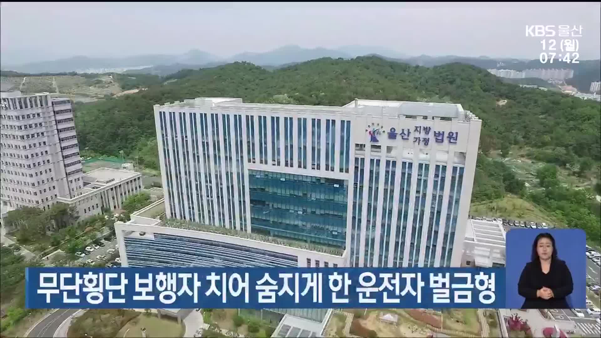 무단횡단 보행자 치어 숨지게 한 운전자 벌금형