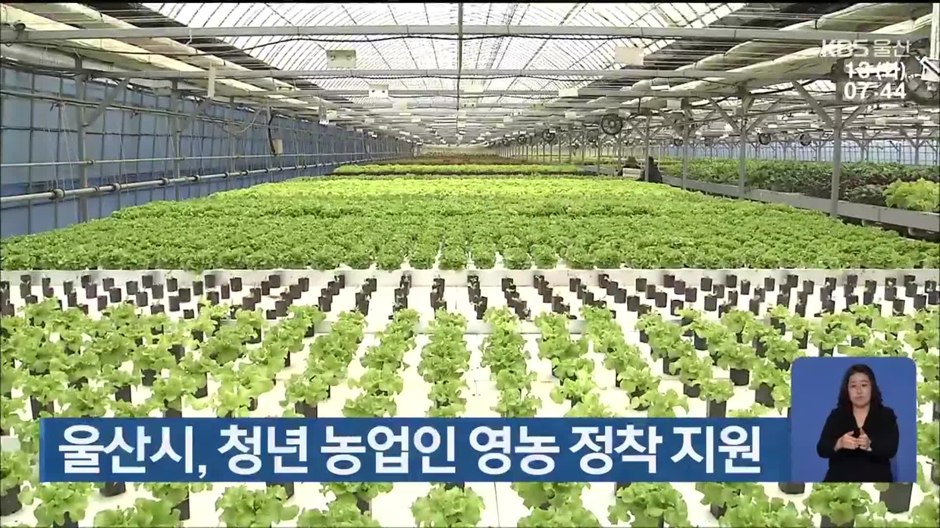 울산시, 청년 농업인 영농 정착 지원