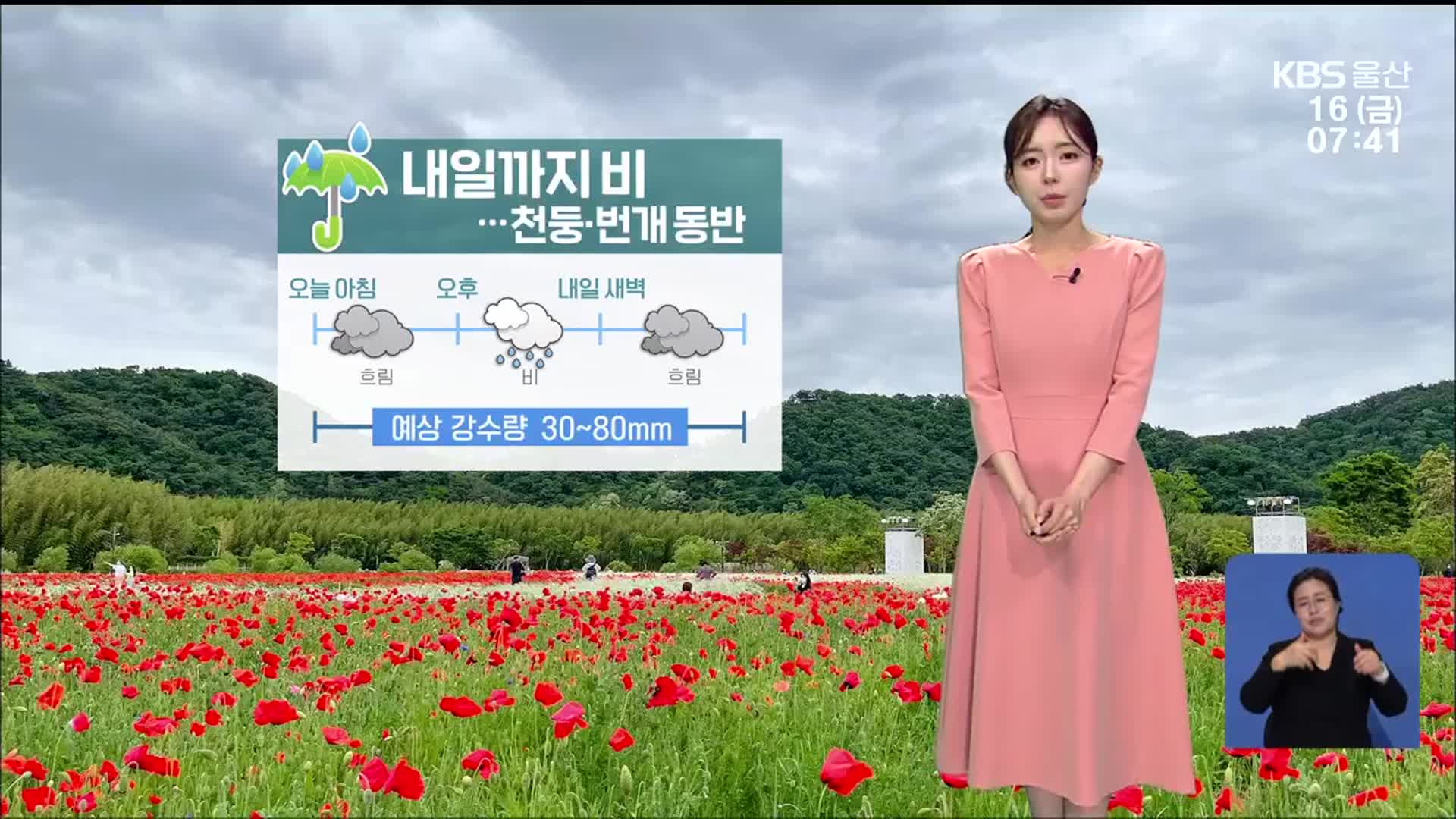 [날씨] 울산 내일 새벽까지 천둥·번개 동반 비…강풍 주의!