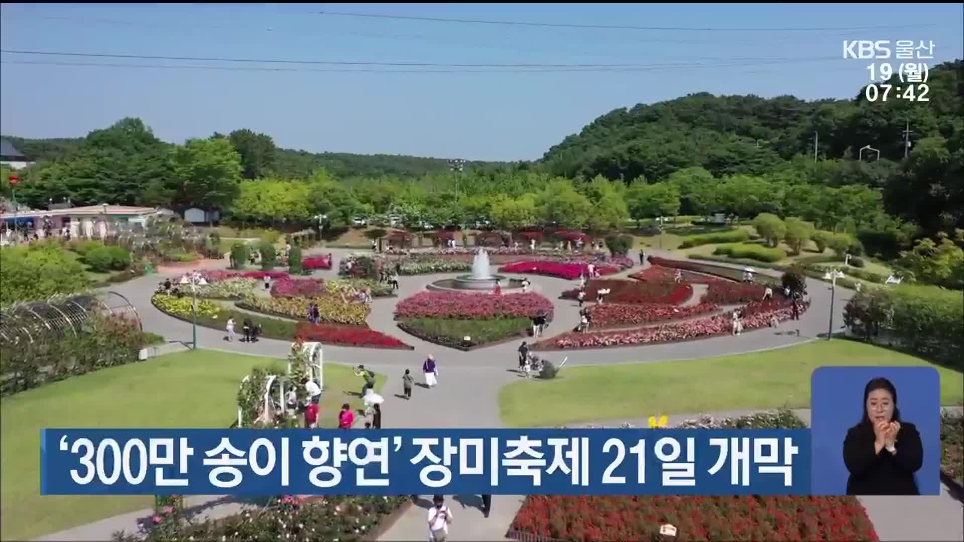 ‘300만 송이 향연’ 장미축제 21일 개막