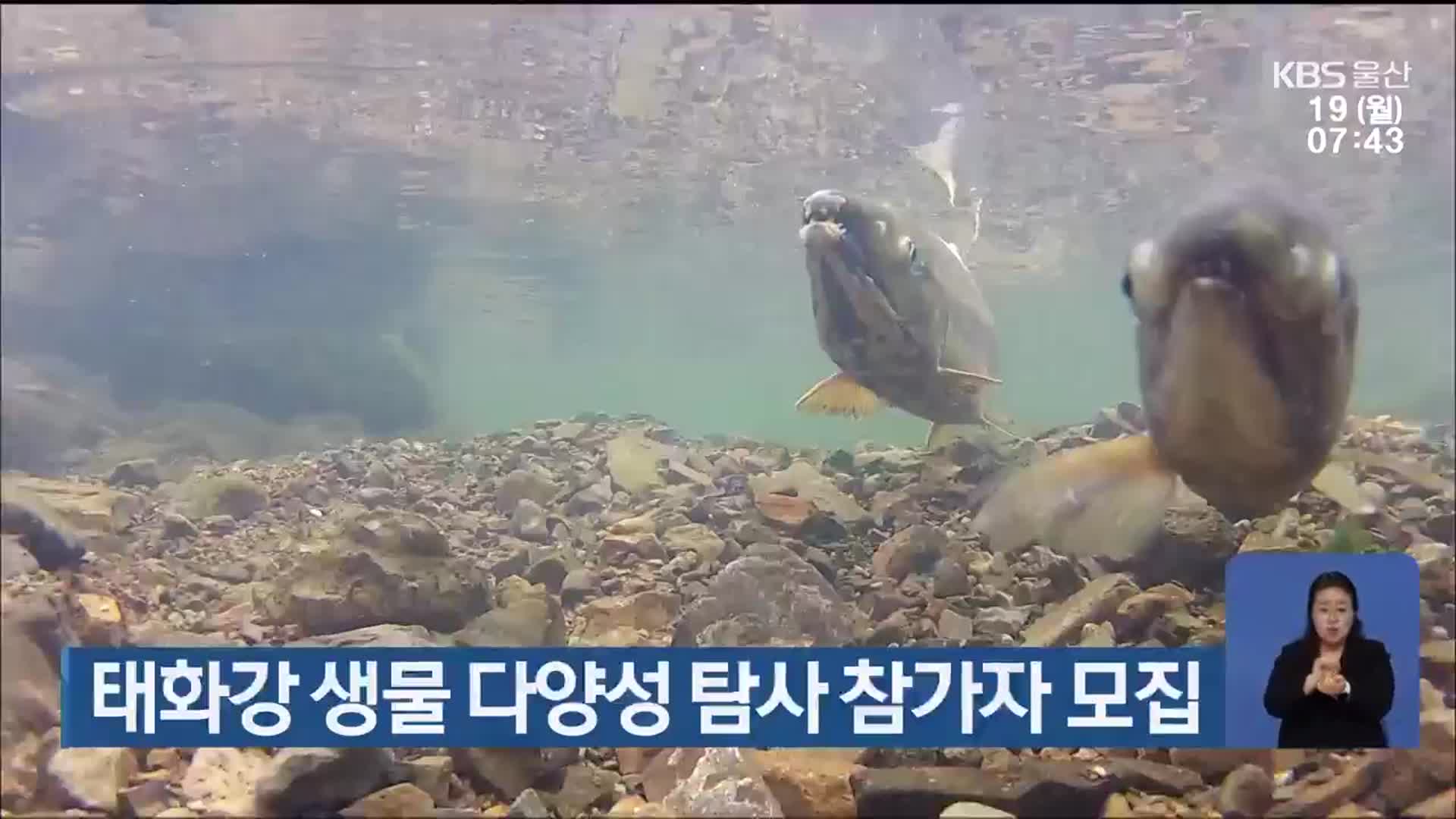 태화강 생물 다양성 탐사 참가자 모집