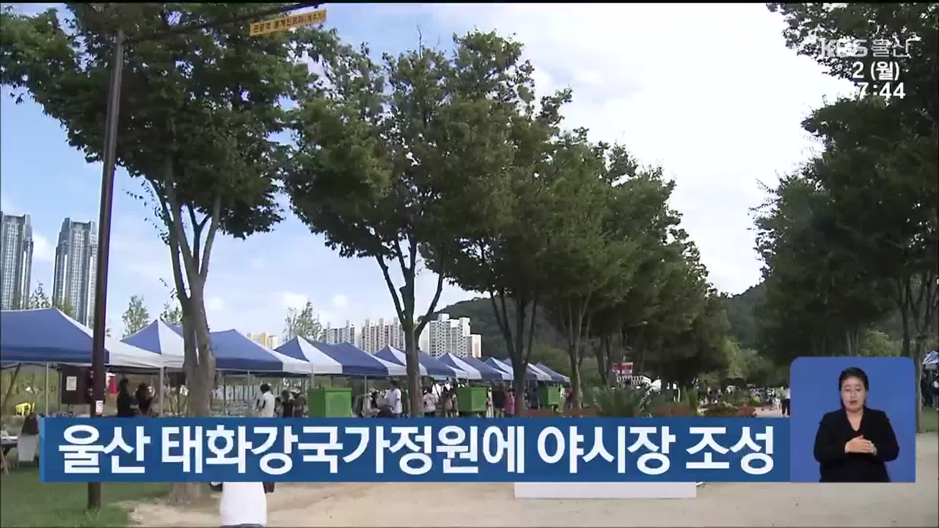 울산 태화강국가정원에 야시장 조성