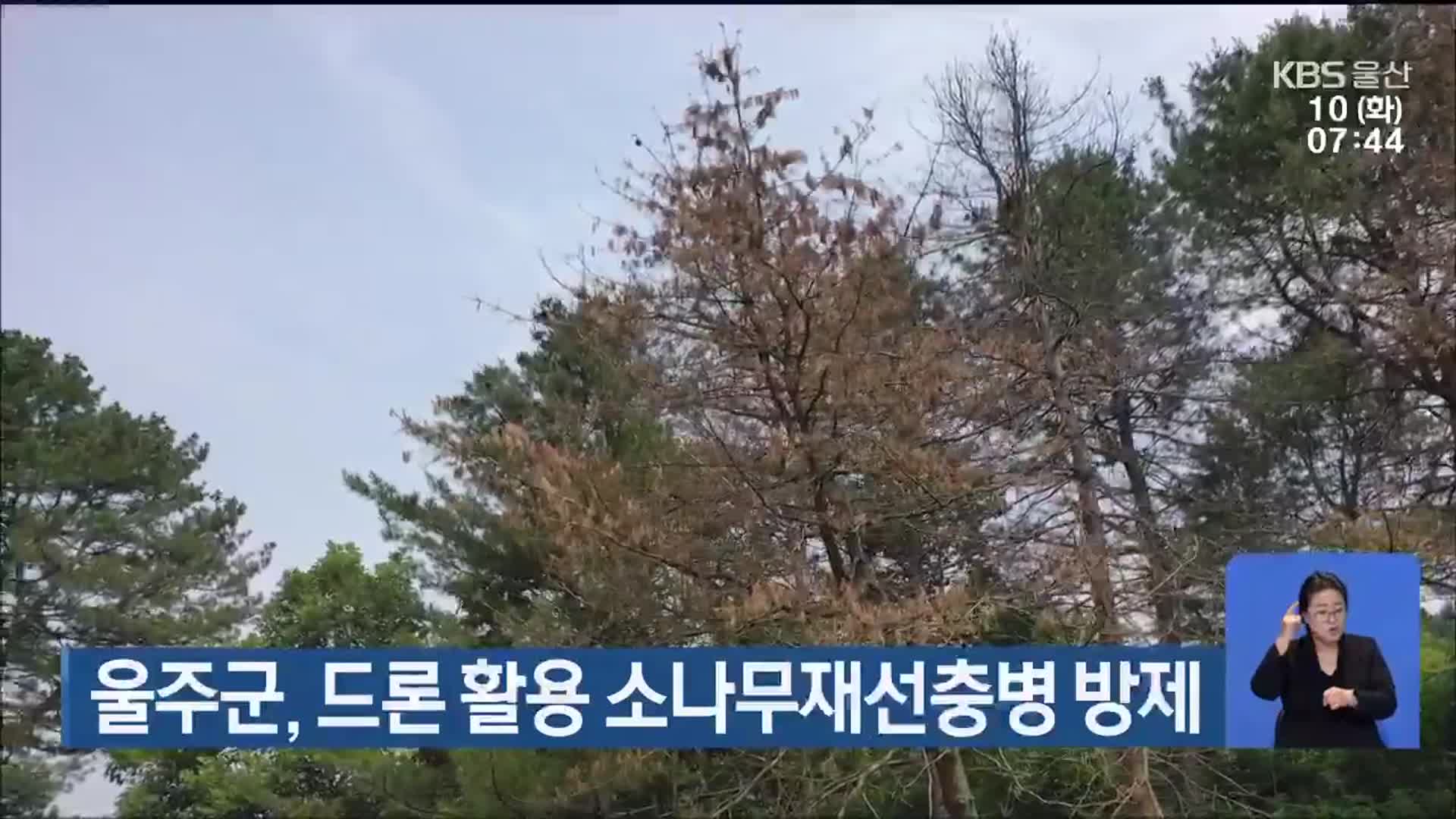 울주군, 드론 활용 소나무재선충병 방제