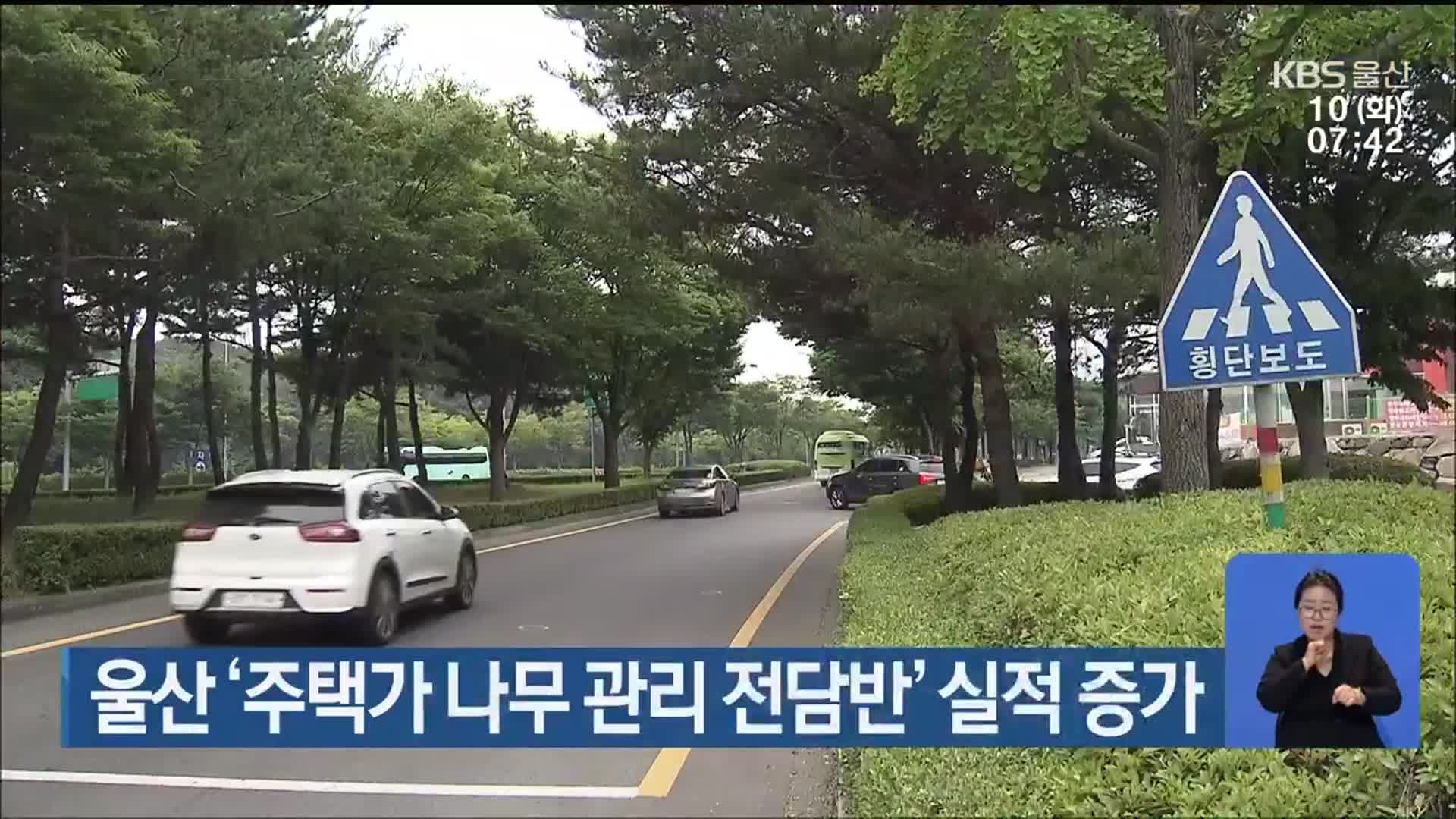 울산 ‘주택가 나무 관리 전담반’ 실적 증가