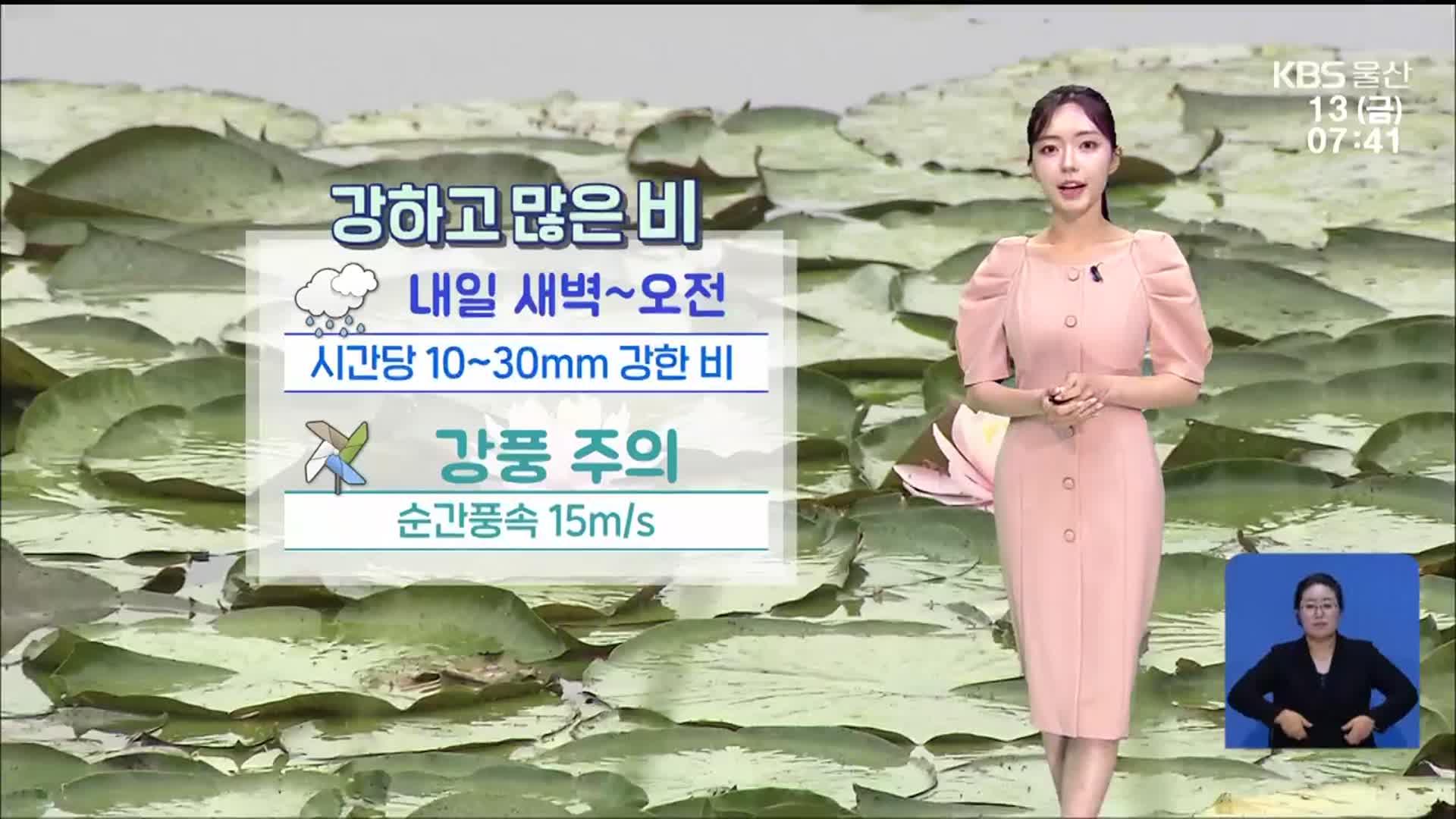 [날씨] 울산 오늘~내일 저녁까지 최대 80mm 비…강풍 주의