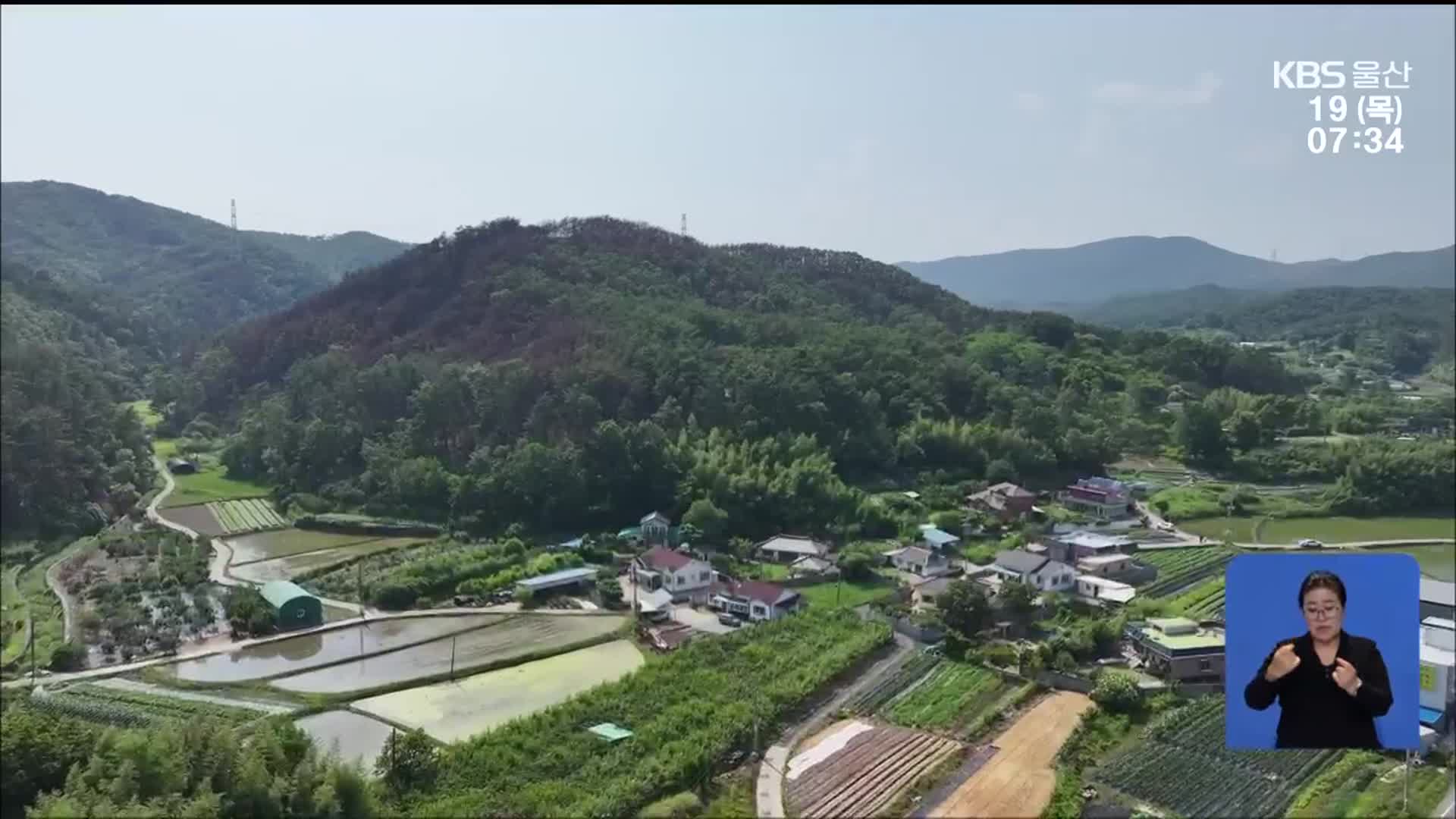 [뉴스광장 울산 풀영상]