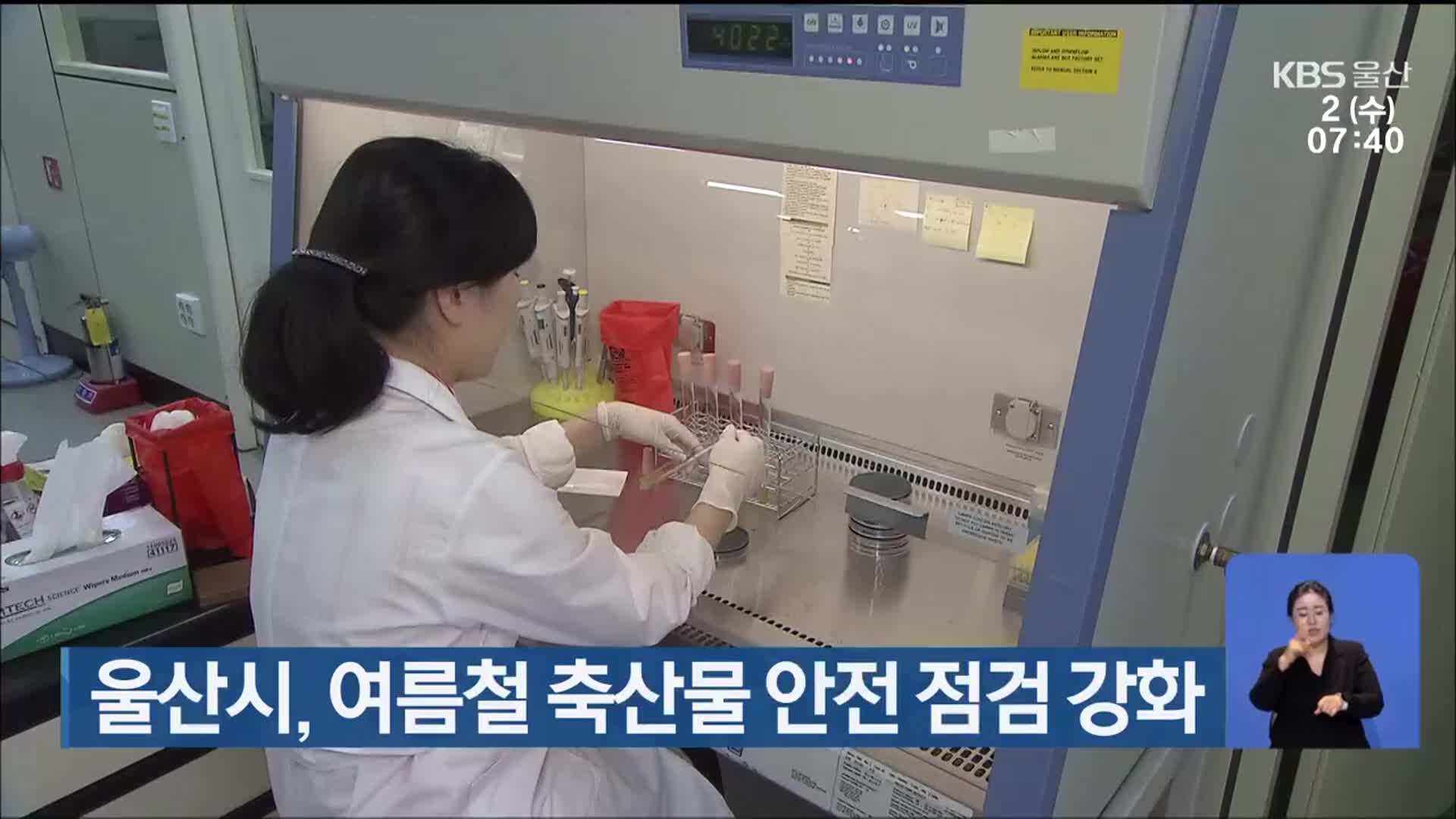 울산시, 여름철 축산물 안전 점검 강화