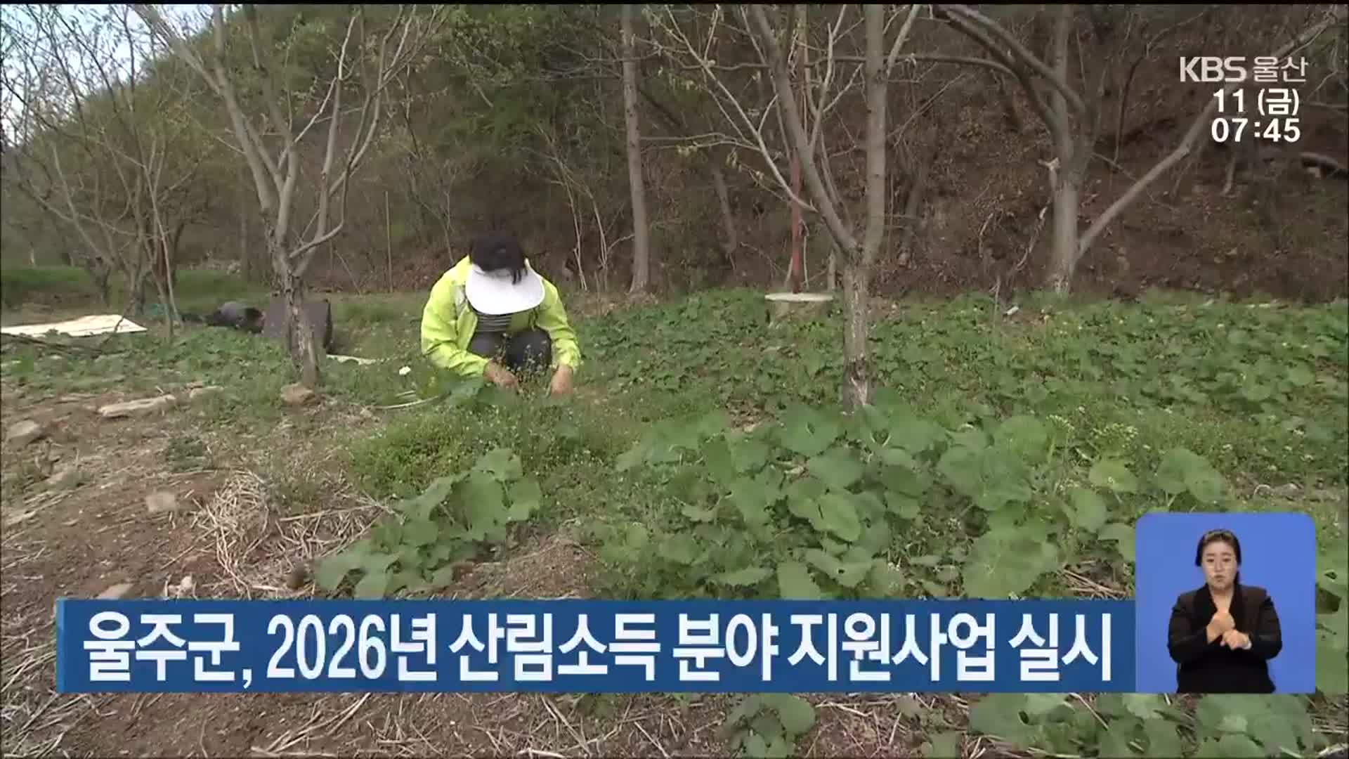 울주군, 2026년 산림소득 분야 지원사업 실시