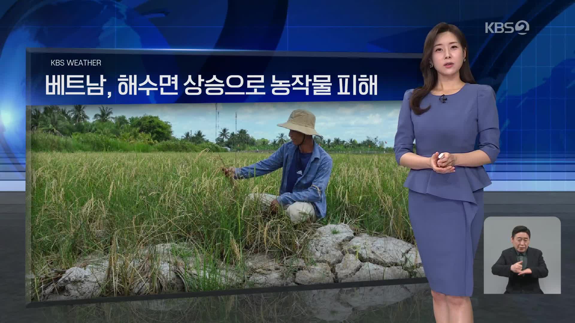 [월드24 날씨] 베트남, 해수면 상승으로 농작물 피해