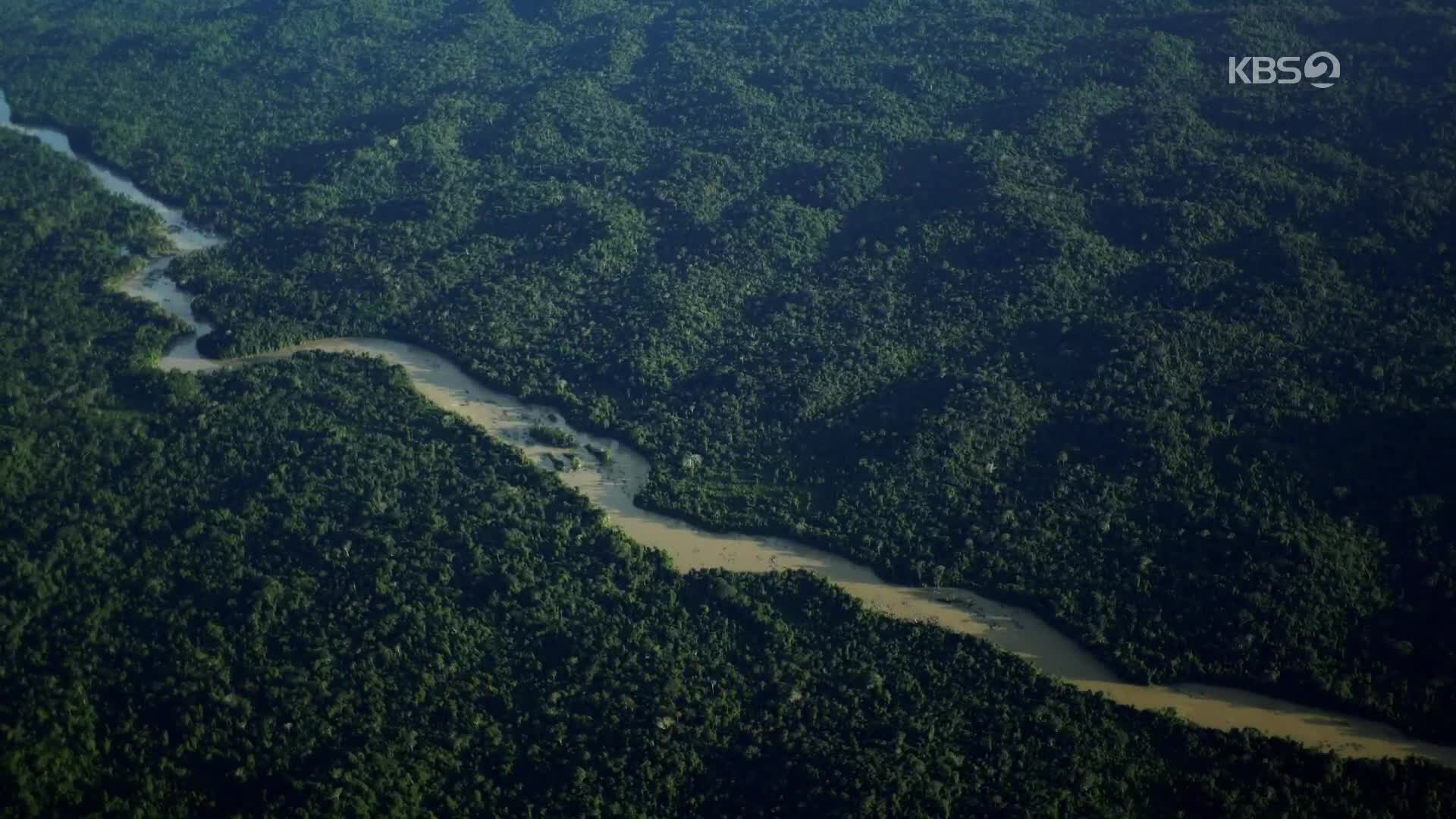 [오늘 한 컷] ‘아마존 수호자’의 외침