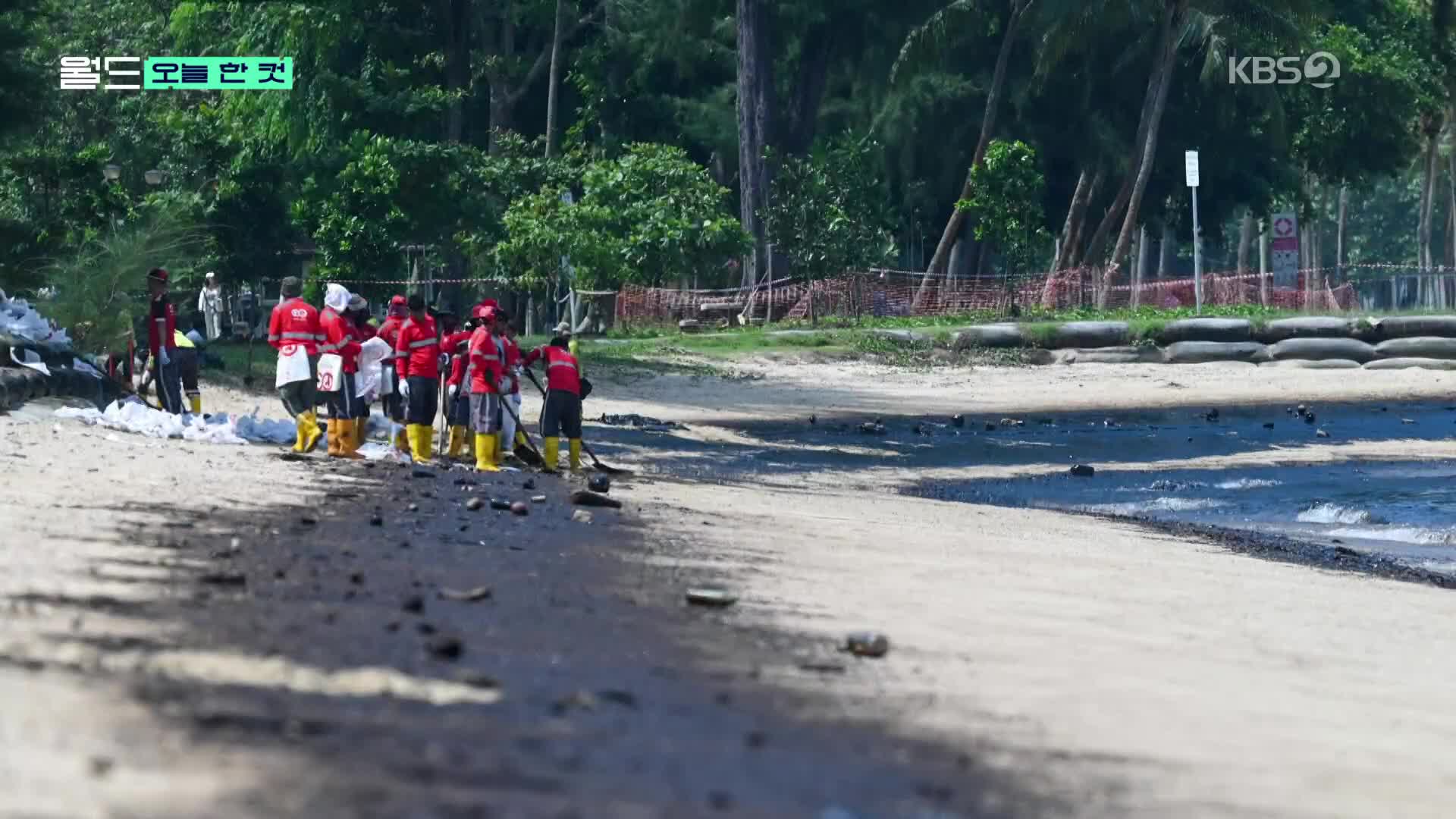 [오늘 한 컷] 기름 범벅된 바다, 소리 없는 희생자