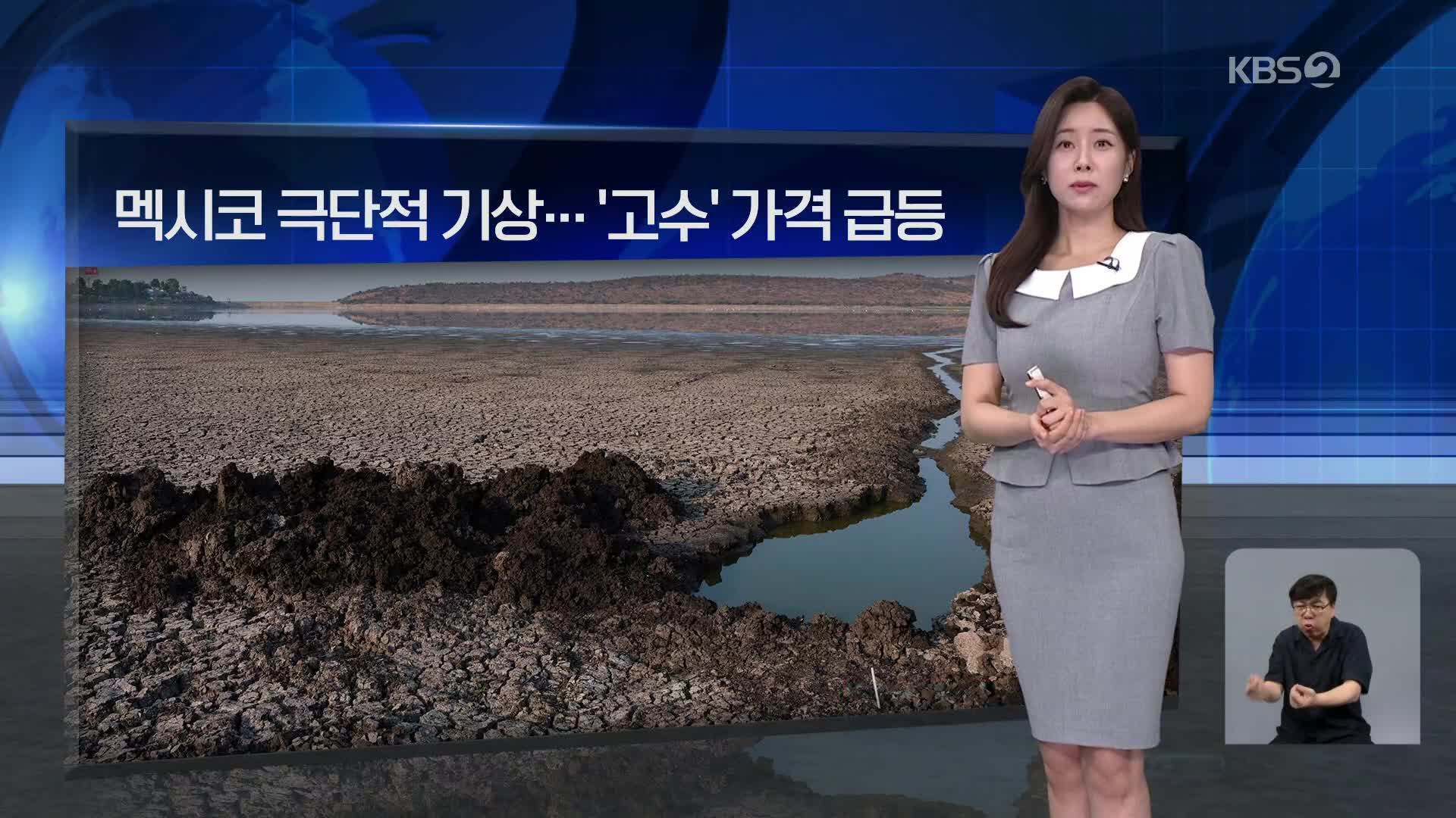 [월드24 날씨] 멕시코 극단적 기상…‘고수’ 가격 급등