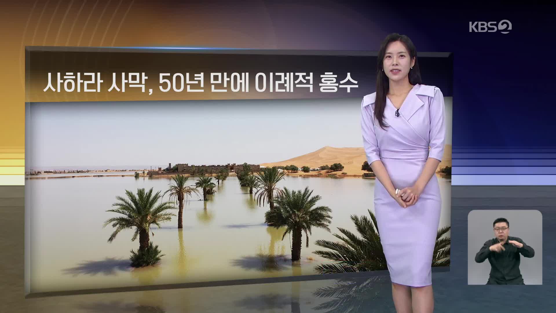 [월드24 날씨] 사하라 사막, 50년 만에 이례적 홍수