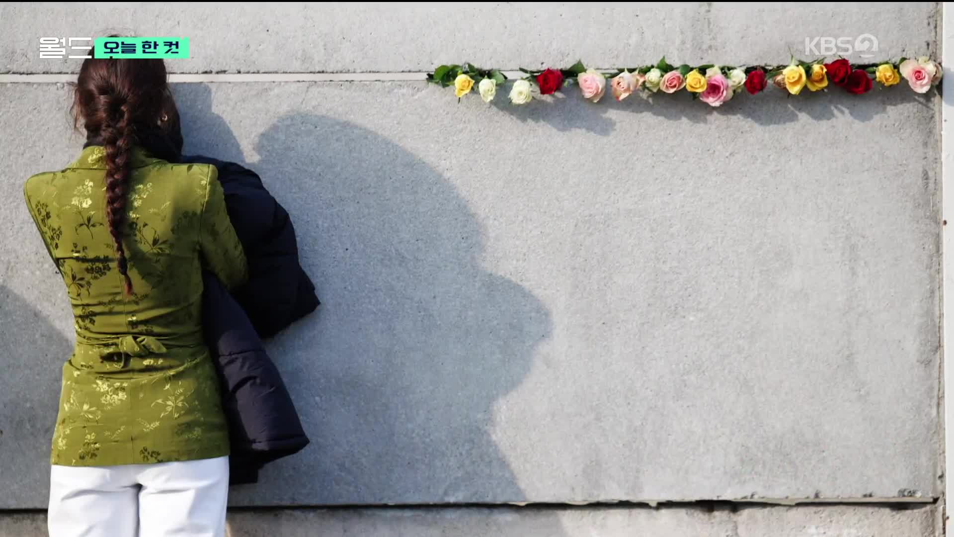 [오늘 한 컷] ‘장벽 사이 피어난 장미’, 어렵게 피어난 평화의 꽃