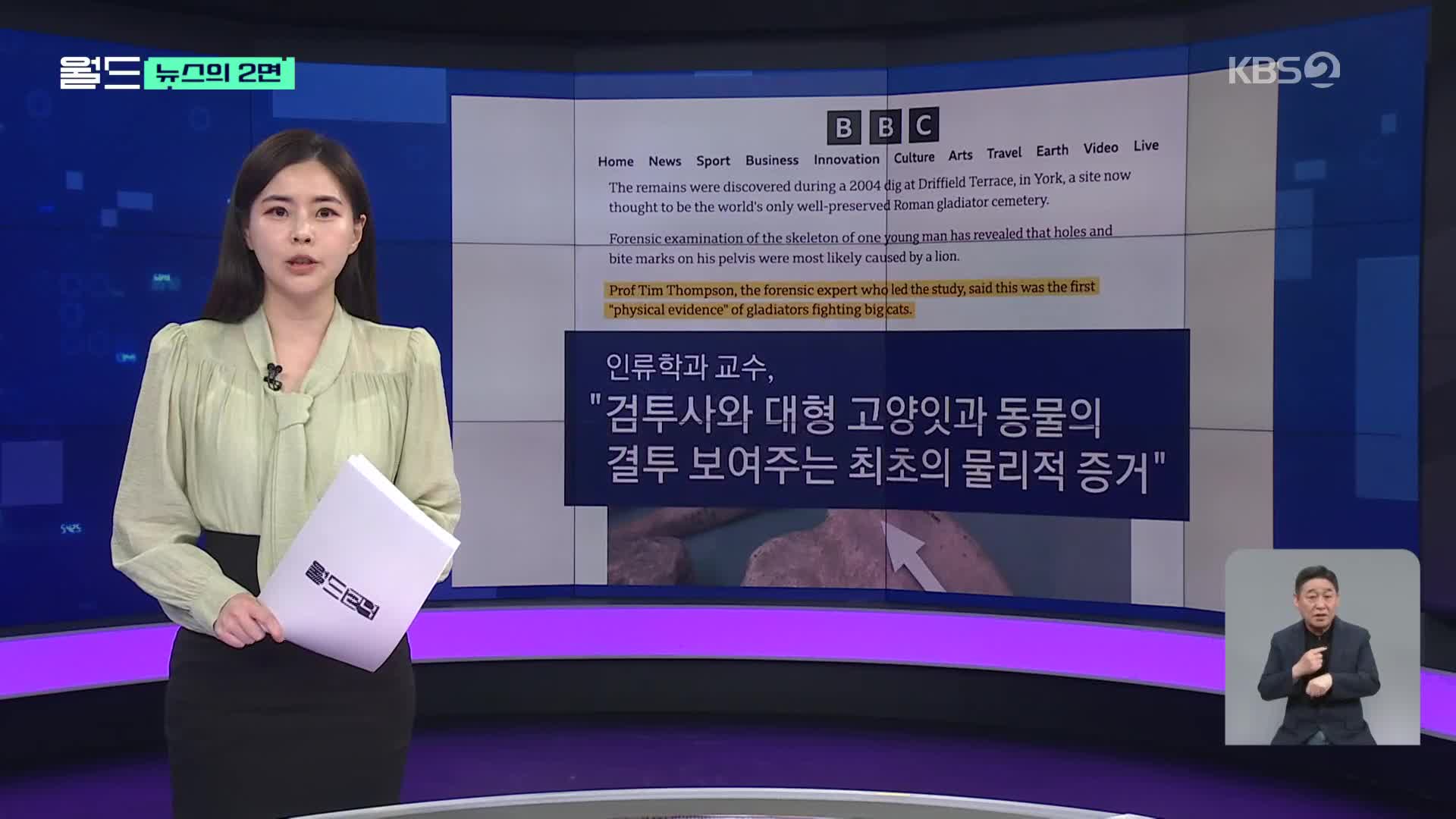 [뉴스의 2면] 로마 검투사와 사자의 결투는 사실이었다!