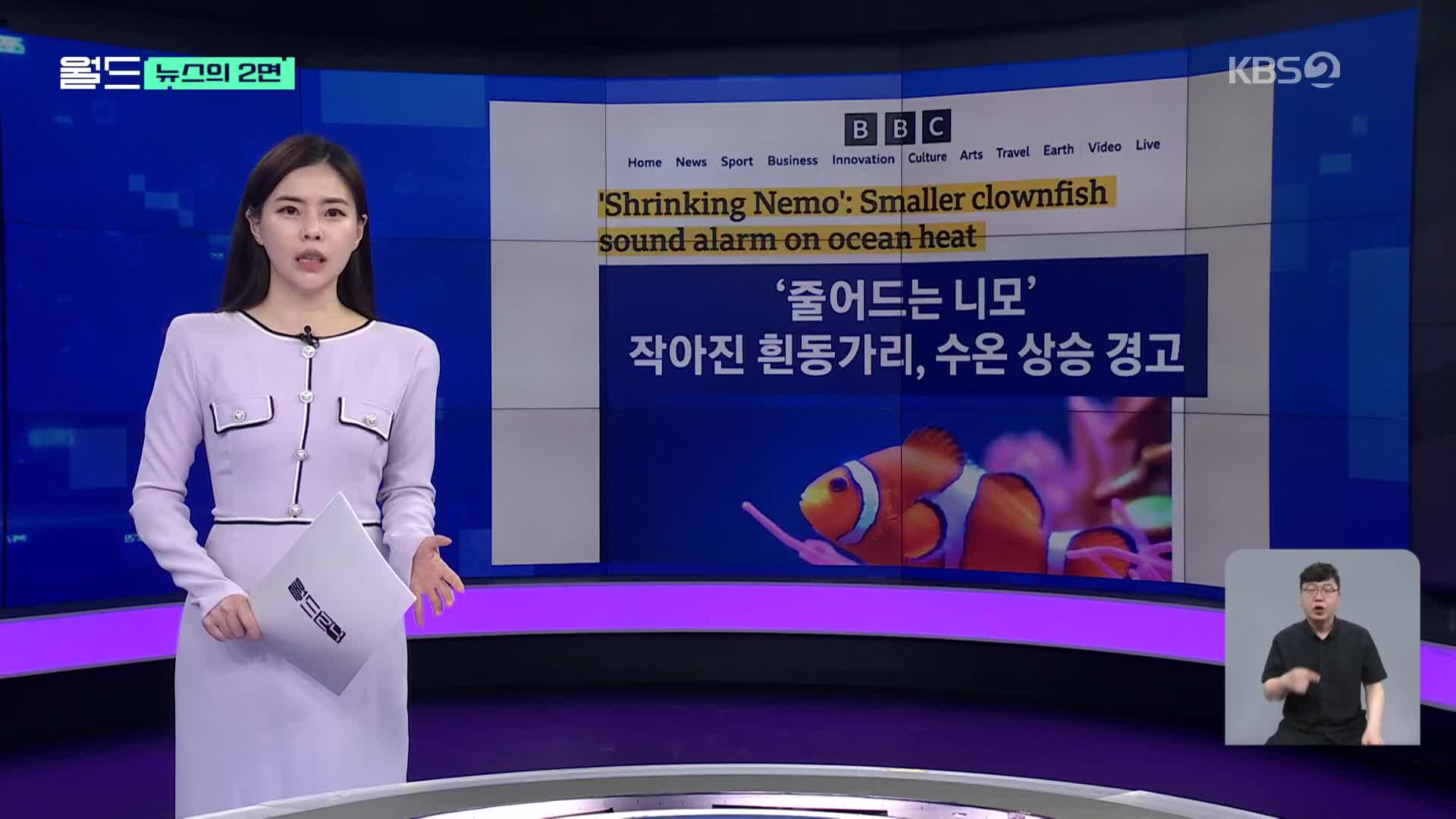 [뉴스의 2면] ‘니모가 작아지고 있다’…수온 상승에 경고등