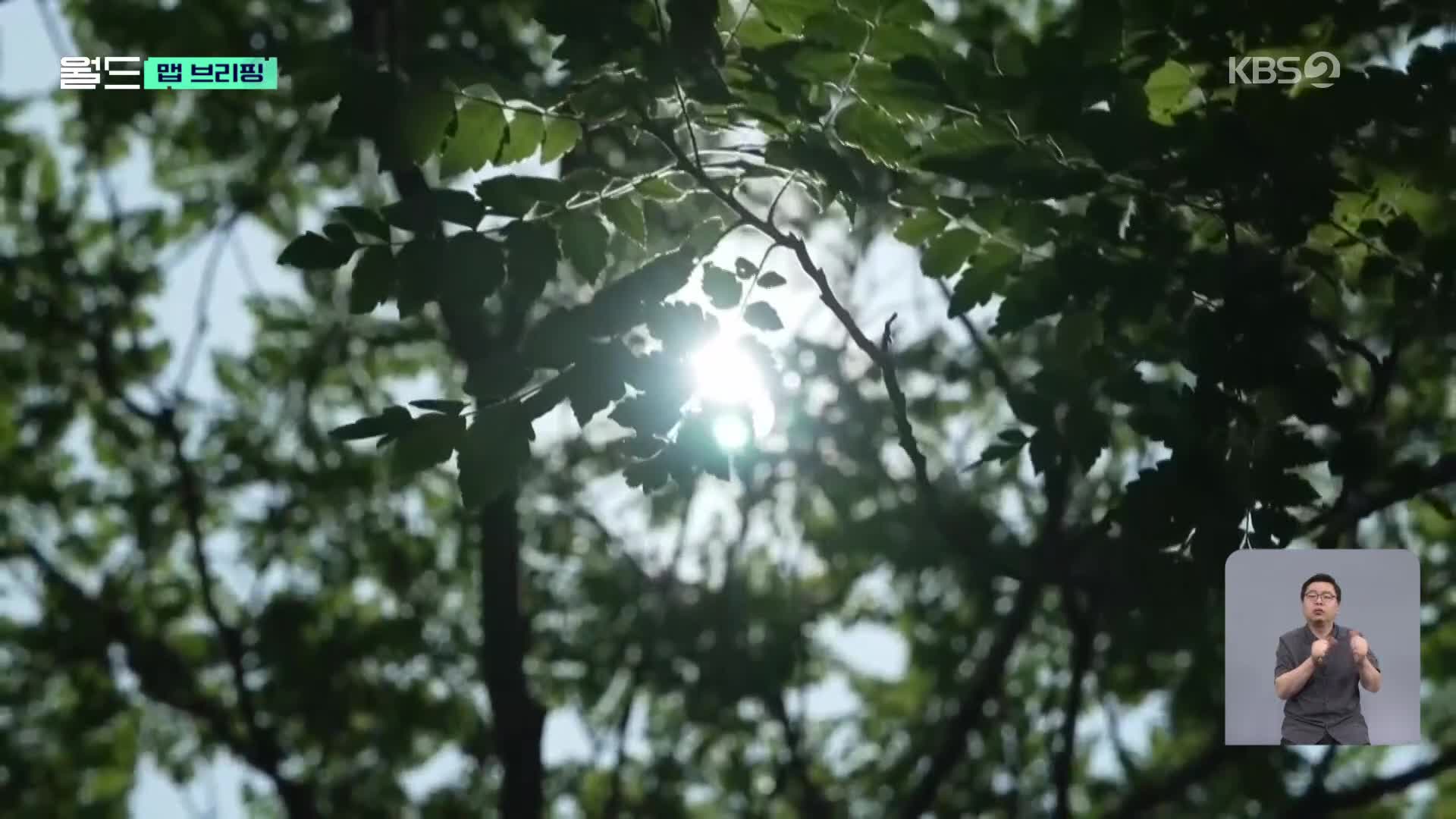 [맵 브리핑] 열돔에 갇혀버린 미국…1억 6천만 명에 ‘폭염 경보’