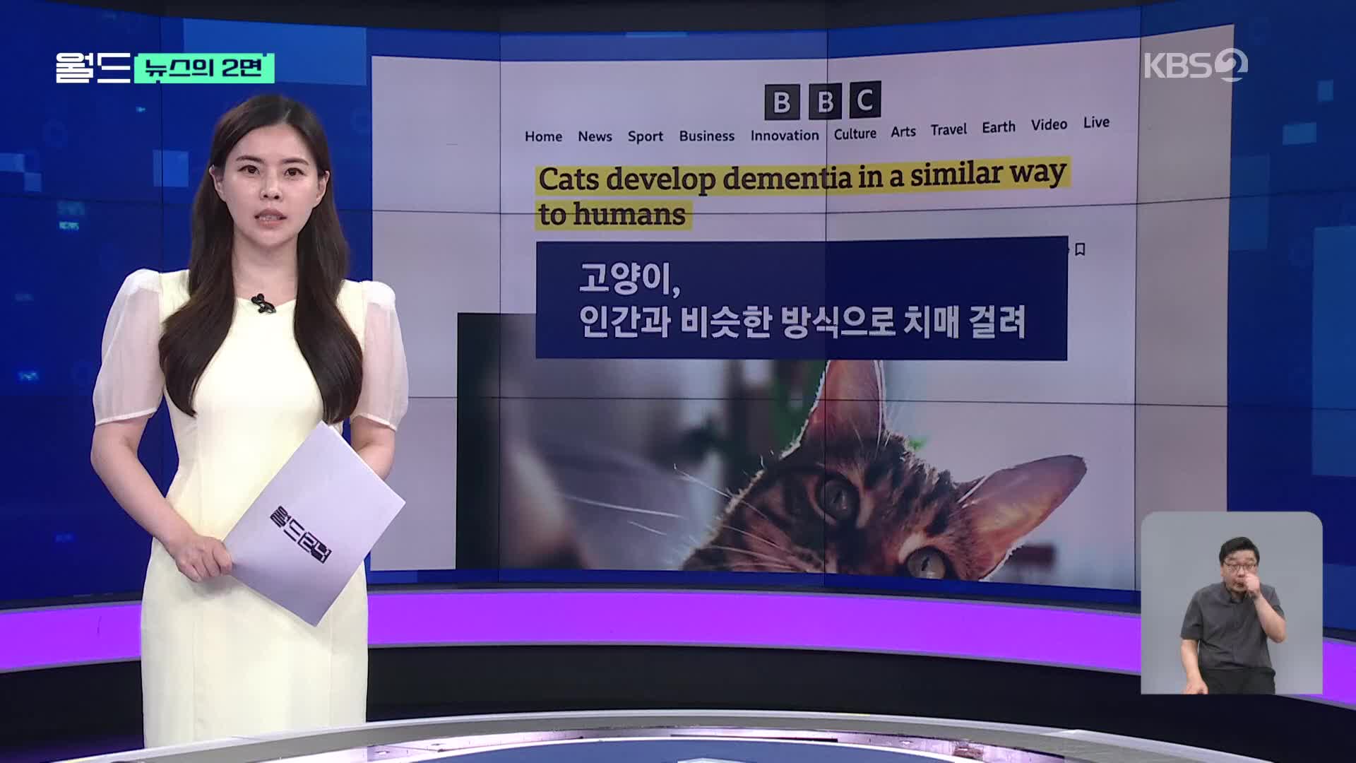 [뉴스의 2면] 고양이, 인간과 비슷한 방식으로 치매 걸린다
