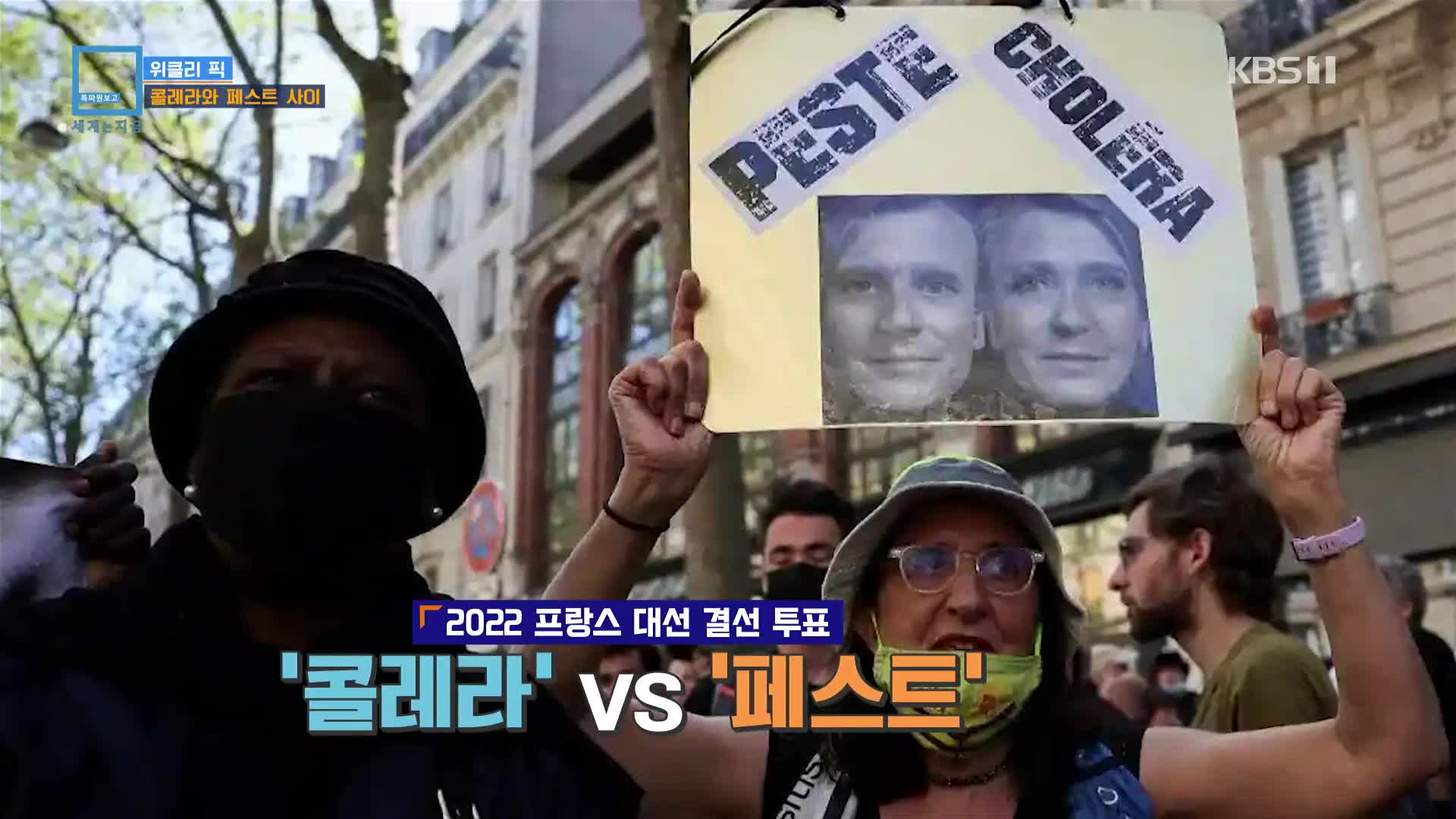 [위클리 pick] 콜레라와 페스트 사이 외