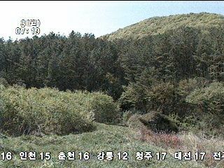 농지 망치는 휴경 보상제 