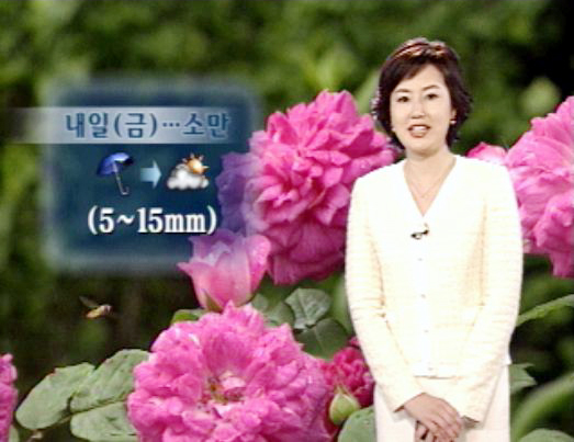 내일 오전까지 곳곳에 다소 강한 비 