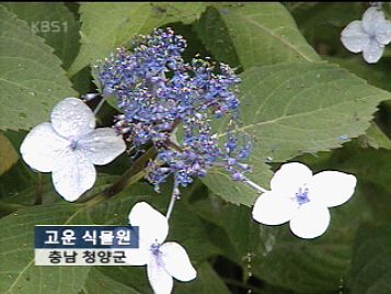 뉴스광장 영상/고운 식물원 