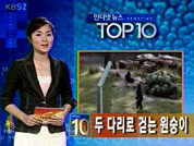 인터넷뉴스 TOP 10 