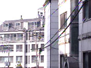 부동산 경매 물건 쏟아져 나온다 