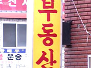 땅으로 옮겨 온 투기 열풍 