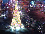서울 광장 크리스마스 트리 점등 