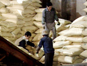 정부 “쌀 협상 연내 마무리” 