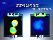 [집중취재] ① 암 치료 가능하다 