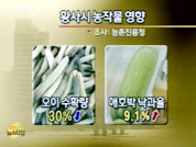 중국발 황사, 햇빛 10% 차단한다 