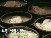 [영상]오늘은 ‘푹푹 찌는’ 초복 