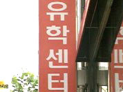 유학원·여행사 마구잡이 보험 모집 