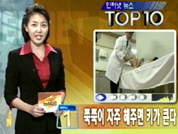 인터넷뉴스 TOP 10 