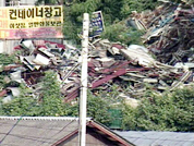 [현장추적]공무원 결탁 그린벨트 훼손 