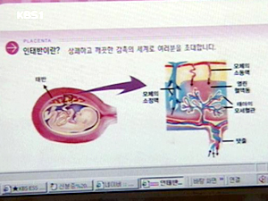 태반 원료 화장품 판매금지 