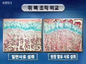 “된장·청국장, 골다공증에 효과” 